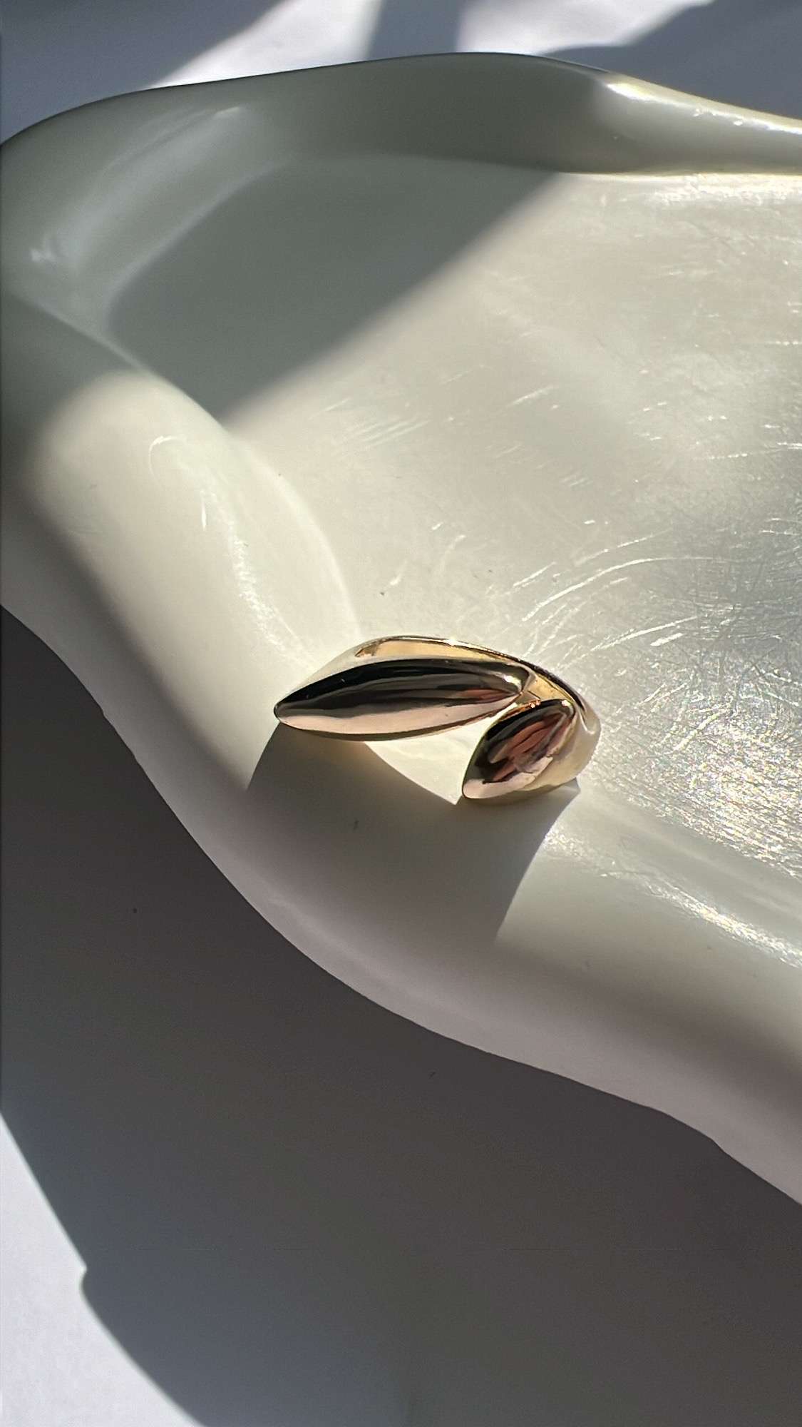 Lisa golden ring